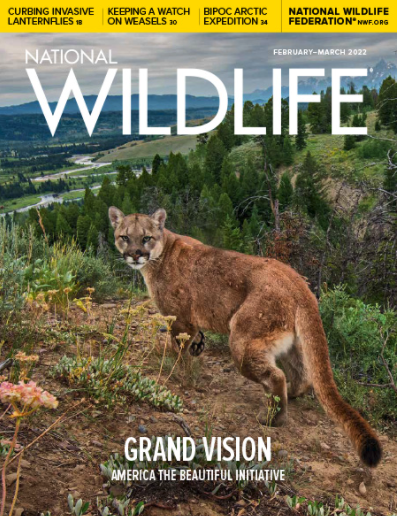 Wildlife Conservation - Brianna Randall - America the Beautiful