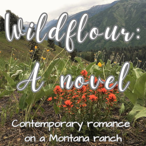 wildflour-a novel. contemporary romance in Montana by Brianna Randall