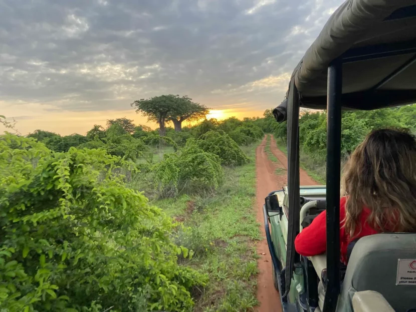 forbes southern tanzania safari with brianna randall